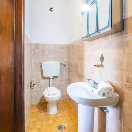 Pinheiro فيلة البوفيرا